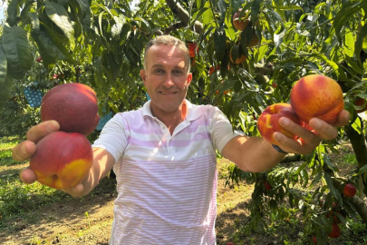 Ağustosta tarlada 10 liraya kadar düşmüştü, dalında 40 lirayı gördü