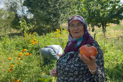 "Güvercin gübresini bir yıl bekletip sıvı halde veriyorum"