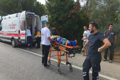 Kontrolden çıkan otomobil tarlada yandı: 1 ölü, 1'i çocuk 5 yaralı