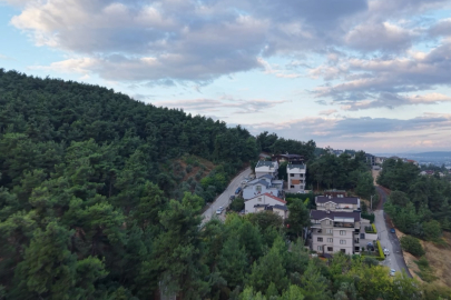 Bursa’da yerleşim alanında ayı hareketliliği: Muhtarlıktan vatandaşlara uyarı