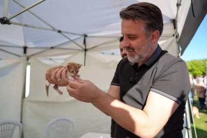 Bursa’da 92 can dost yeni yuvasına kavuştu