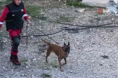 Bursa'da hayat kurtaracak K9 köpekleri enkazda eğitiliyor!