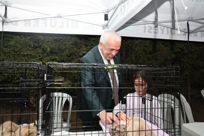 Şadi Özdemir'den Üçevler'de mesaj: "Kişiye göre değil, kurallara göre yönetilen bir Nilüfer"