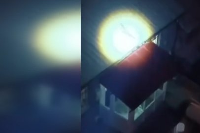 Bursa'da şaşırtan görüntü! Evin çatısına çıkan tilki vatandaşları şaşırttı