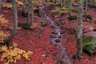 Uludağ'da sonbahar büyüsü! Kar suları ve dereler eşsiz manzaralar oluşturuyor
