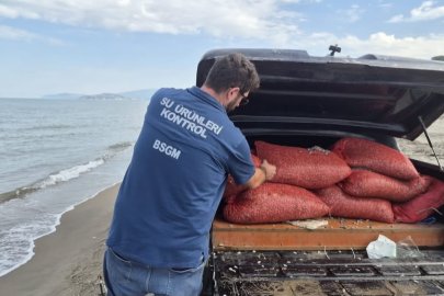 Bursa Mudanya'da kaçak avcılığa darbe! 2 ton 760 kilogram kum şırlanı ele geçirildi